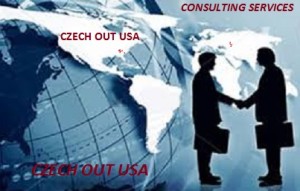 Consulting Businesses from Czech